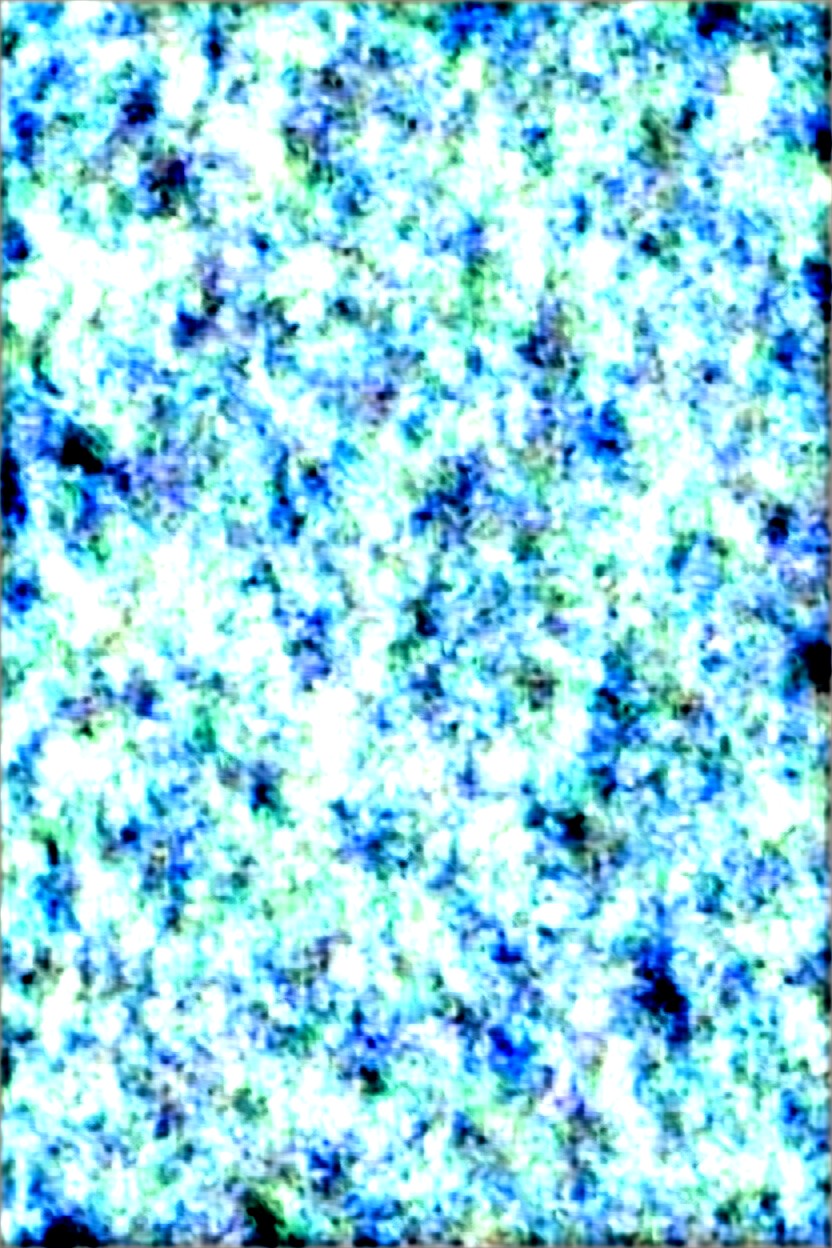 Crotch Tattoo, Sitting Down Legs Spread, Orgasm AI Gay Porn