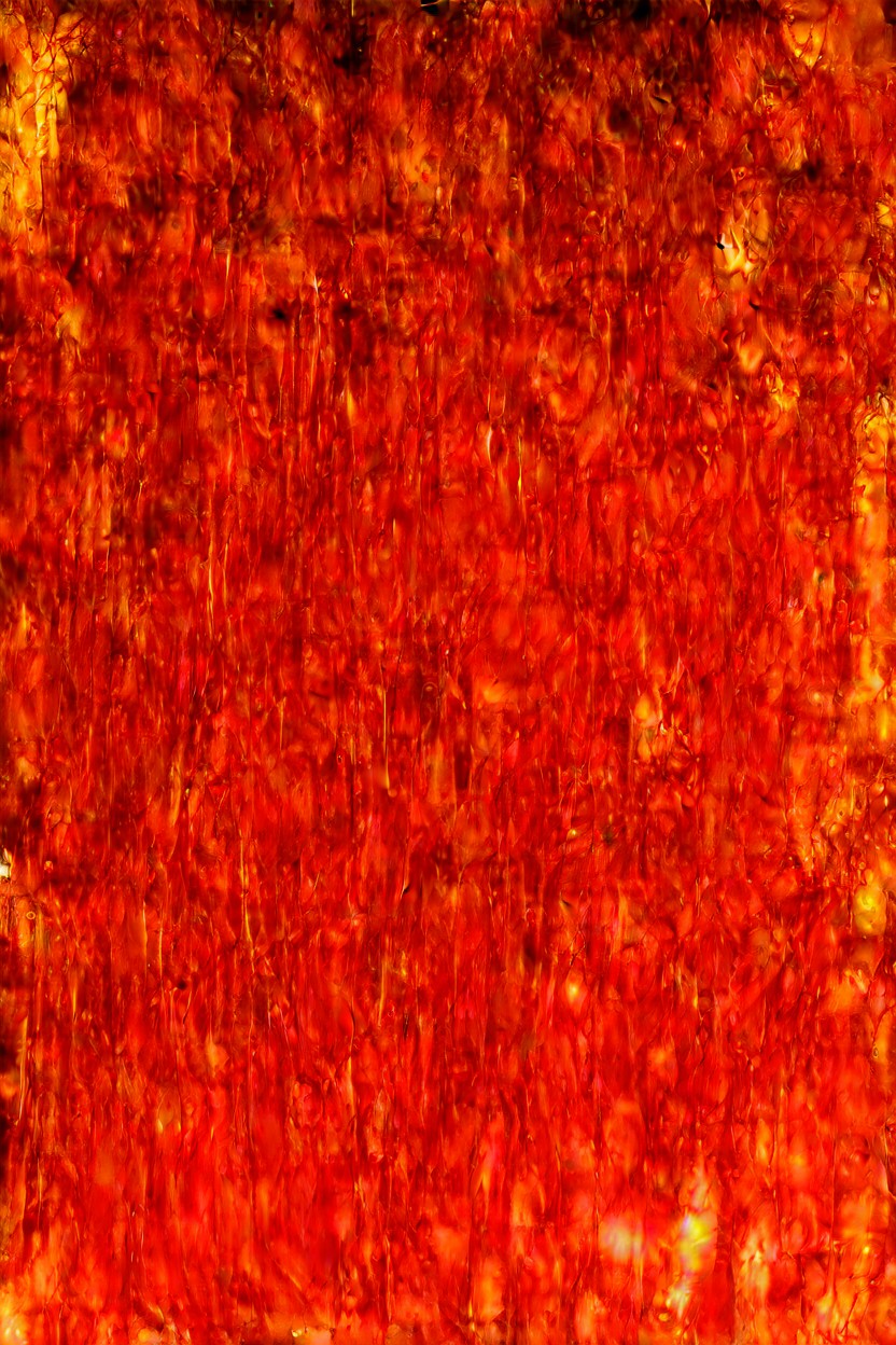 Bbl, Simple Background, Abs AI Porn