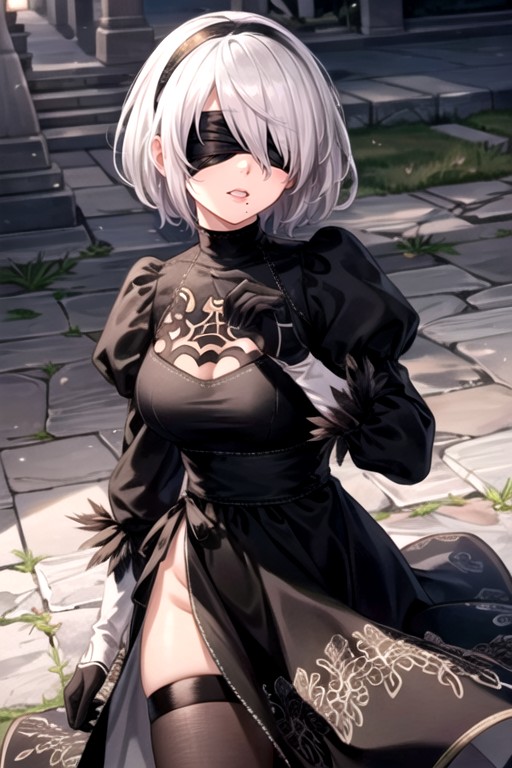 Yorha 2號b型 (尼爾：自動人形)人妖AI色情