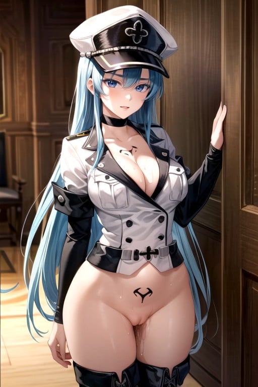 Esdeath (akame Ga Kill), Cabelo Longo, 1 Pessoa Pornografia de IA