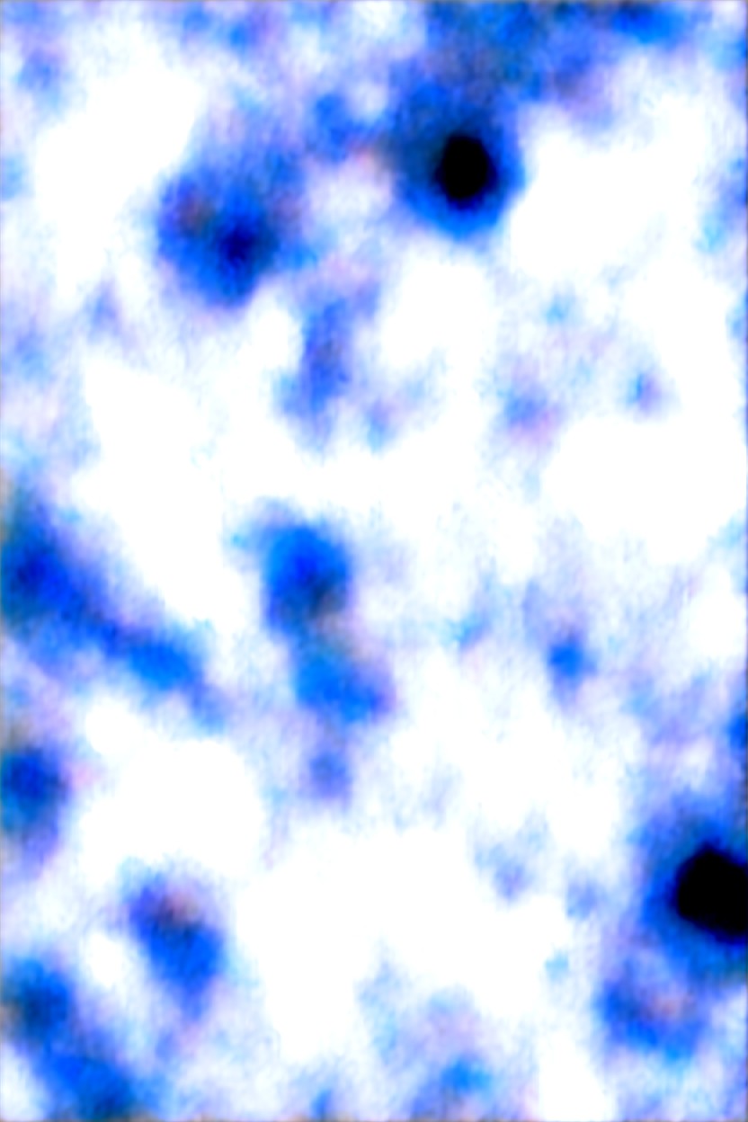 Piercings Everywhere, Dark Brown Asshole, Futanari Furry AI Porn