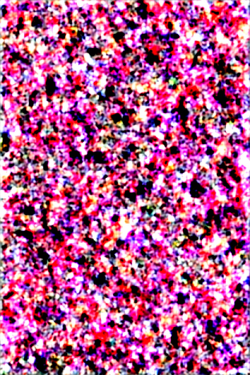 Blushing, Meadow, Lesbian Kissing AI Porn