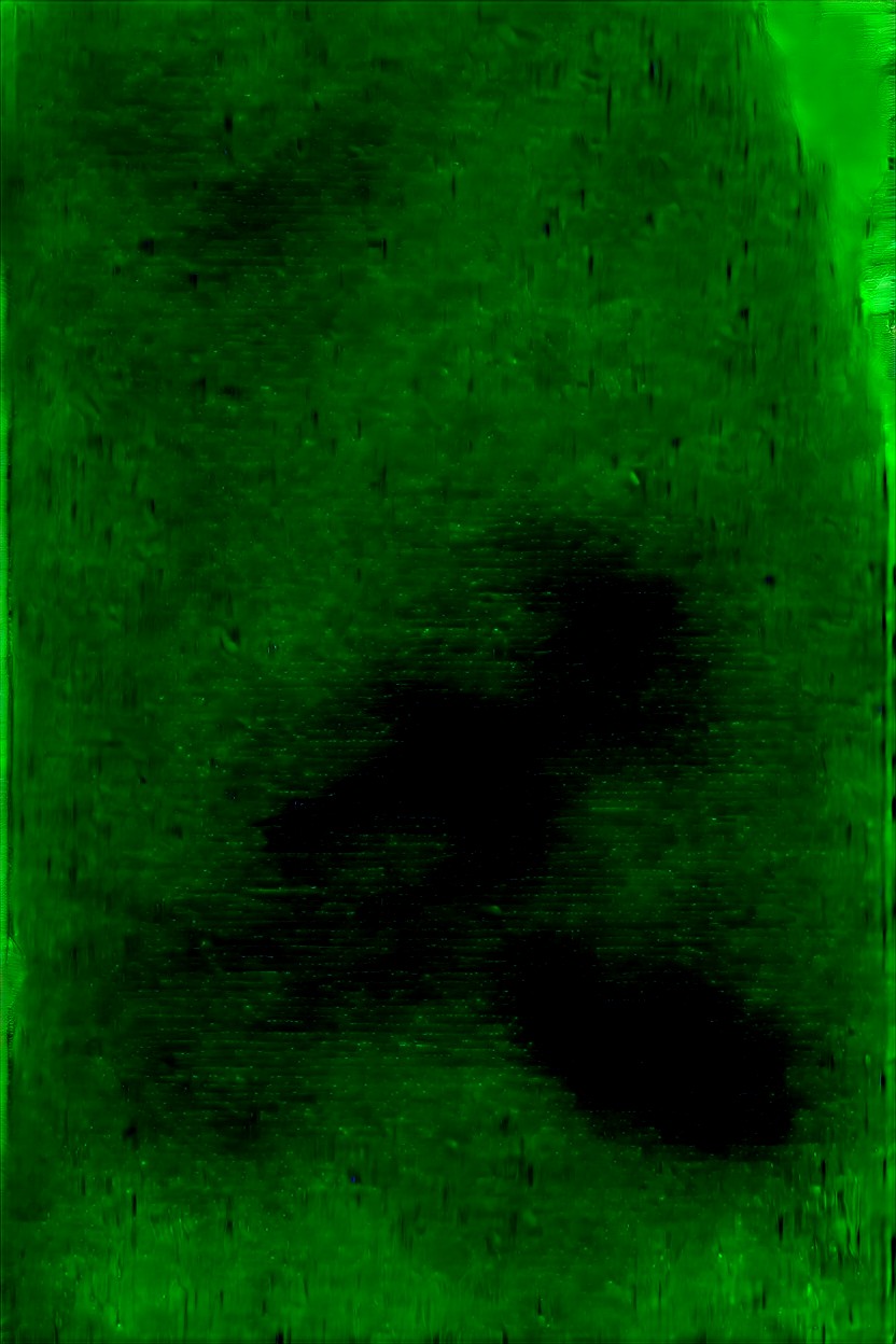 Cat Pose, X-ray, Bbw Furry AI Porn