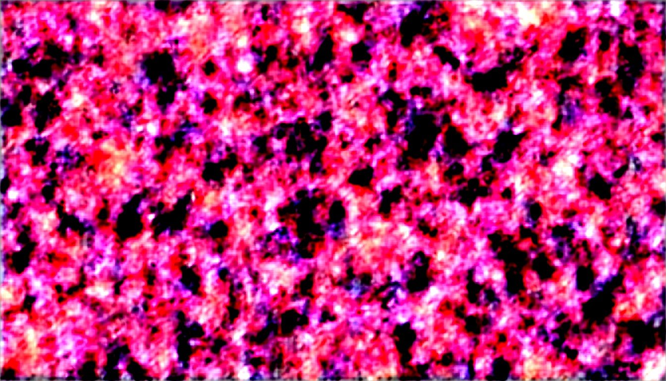 6898582bab7f4f2d63767bc3 | AI Porn Generator