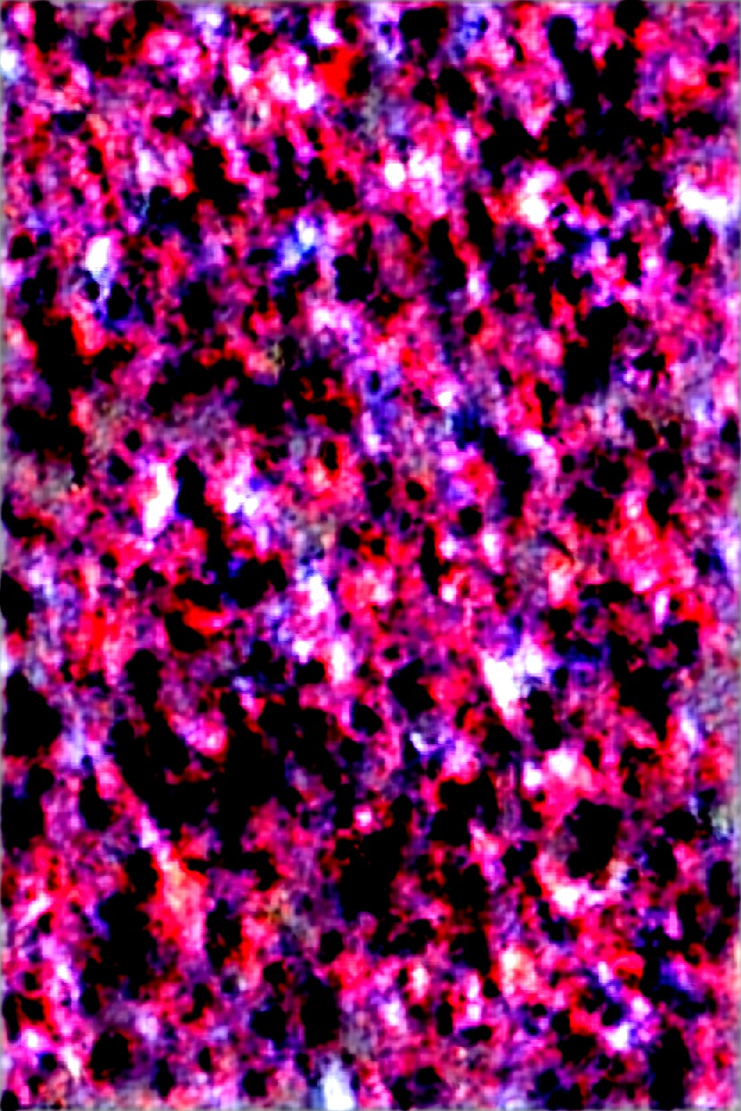 Catgirl, Blonde Hair With Pink Highlights, Breasts Bouncing Motion Hentai AI Porn