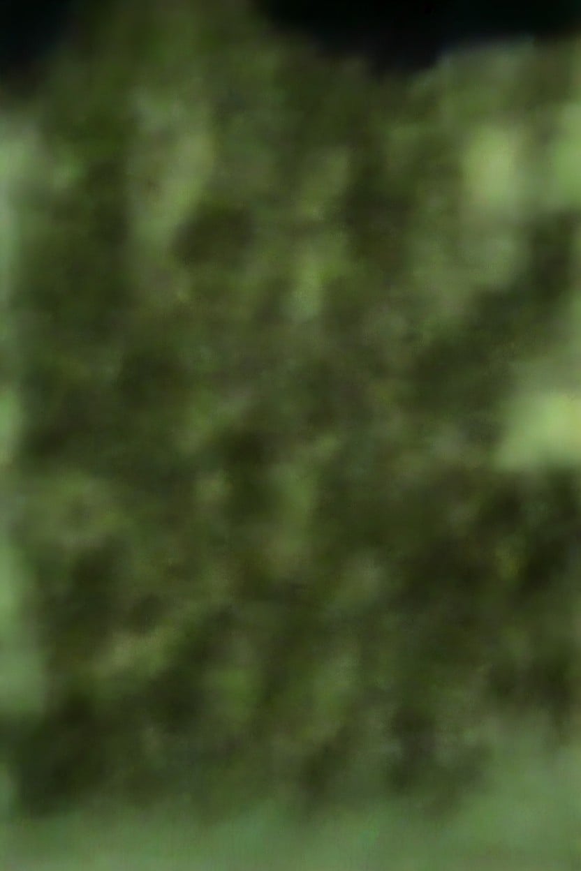 Park, Raining, Model AI Porn